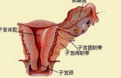 子宫内膜息肉患能吃黄体酮治疗吗 子宫息肉